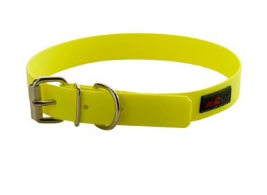 Play Regular Collar (Color: Yellow, size: 10"x3/4")